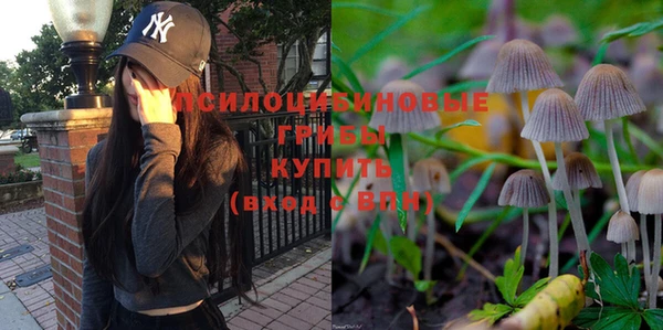 ECSTASY Лиски