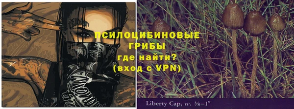 ECSTASY Лиски