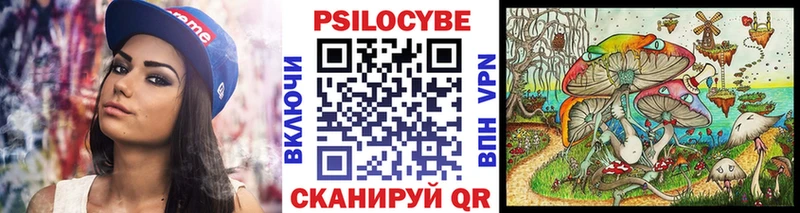 Галлюциногенные грибы Psilocybine cubensis  Сухой Лог 